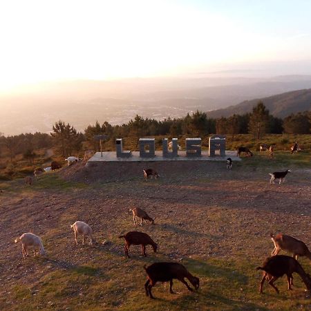 فيلا Casa Do Pastor Lousã المظهر الخارجي الصورة