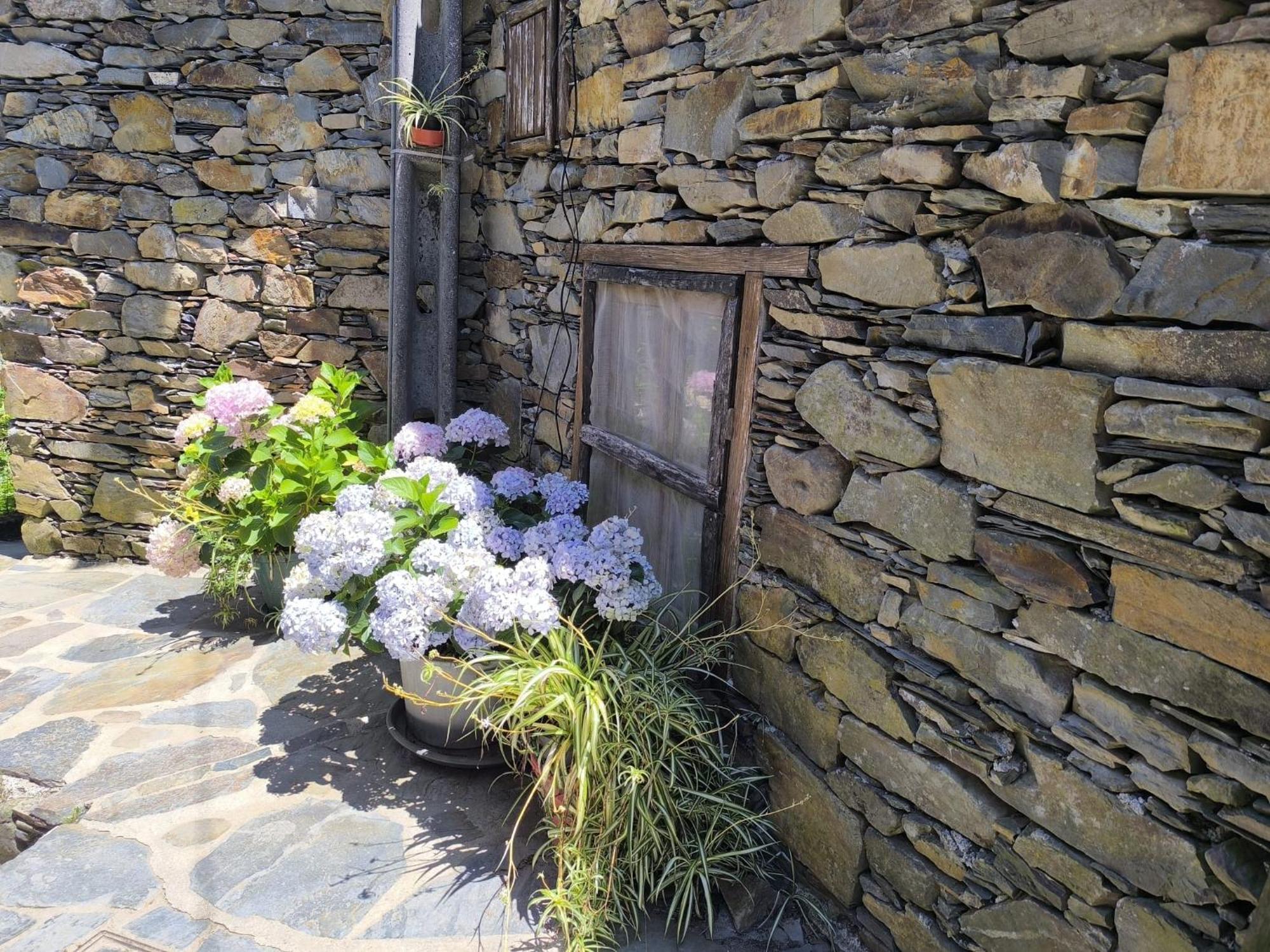 فيلا Casa Do Pastor Lousã المظهر الخارجي الصورة